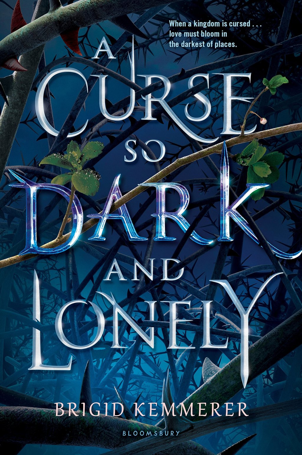 A Curse so Dark and Lonely – Interview with Brigid Kemmerer